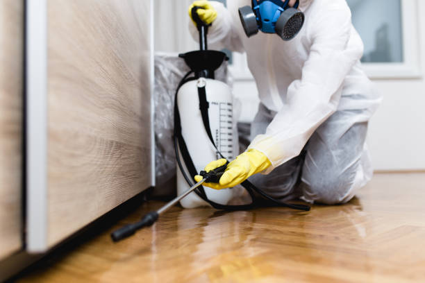 Pest Control Cost in Holley, FL