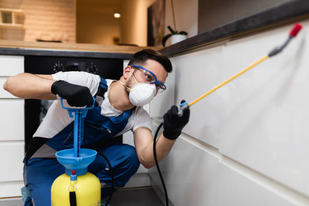 Best Residential Pest Control  in Holley, FL