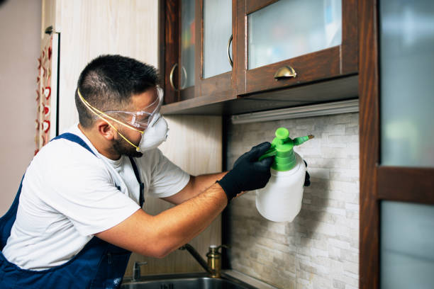 Best Emergency Pest Control  in Holley, FL