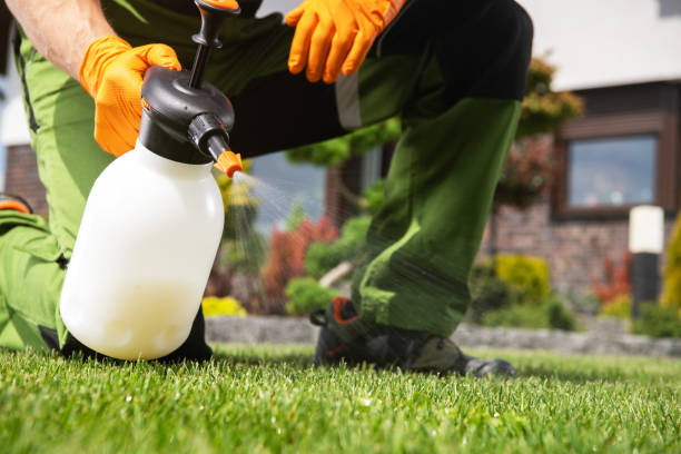 Best Termite Control Services  in Holley, FL