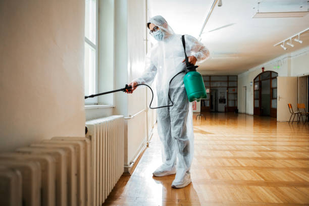 Best Best Pest Control Companies  in Holley, FL